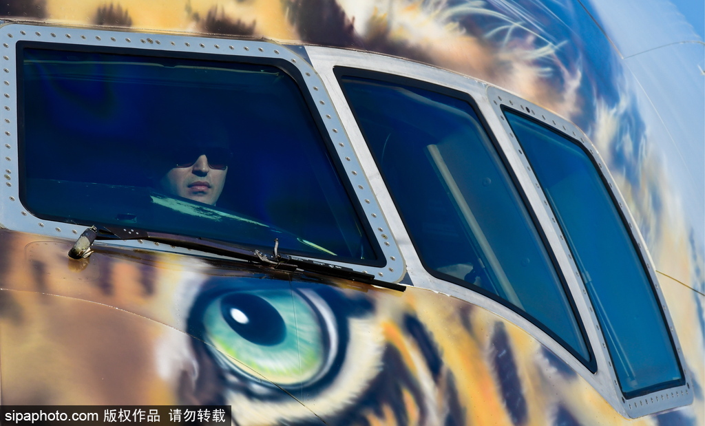 一頭豹子飛過來！俄羅斯飛機繪遠東豹圖案萌態十足