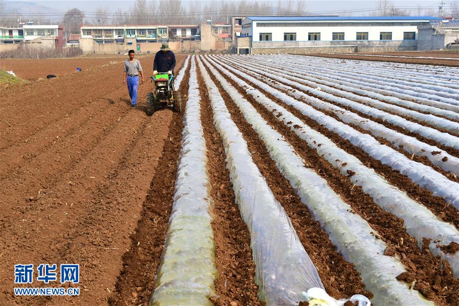 驚蟄鬧春耕(組圖)