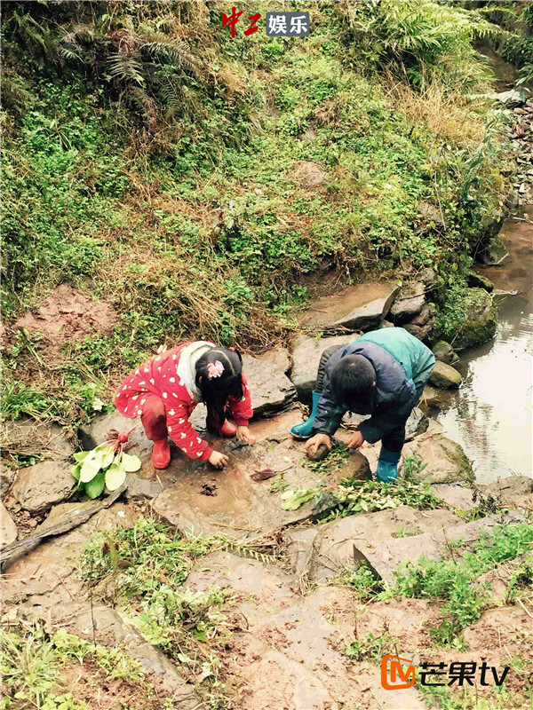 《變形計(jì)》回歸落戶芒果TV 首段故事湖南開錄