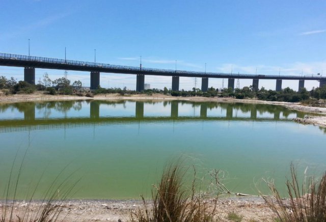 澳大利亞藍(lán)色鹽湖突變粉色 網(wǎng)友：可能戀愛(ài)了