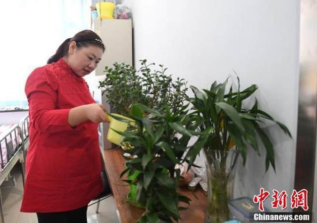 30歲女子一年瘦231斤 做起直播獲得6.6萬粉絲