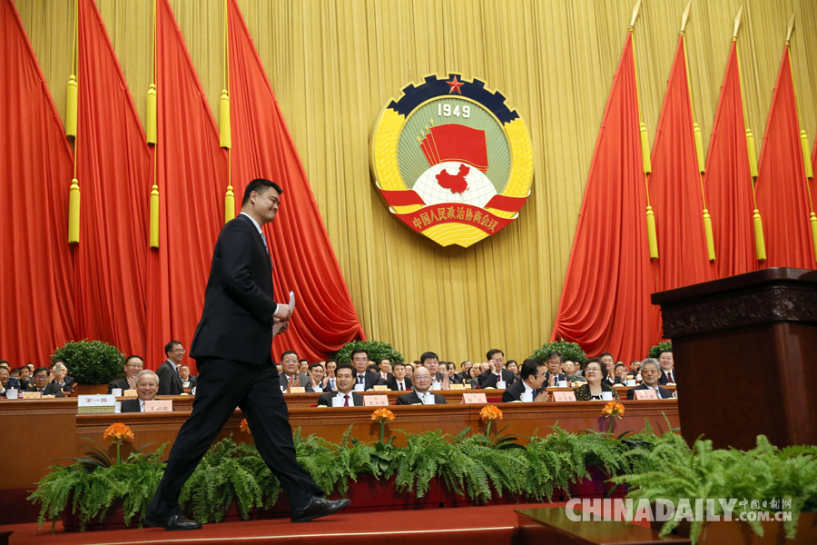 姚明在全國政協十二屆五次會議第三次全體會議上發言