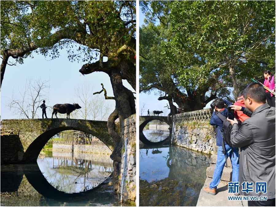 鄉(xiāng)村模特的“畫里畫外”