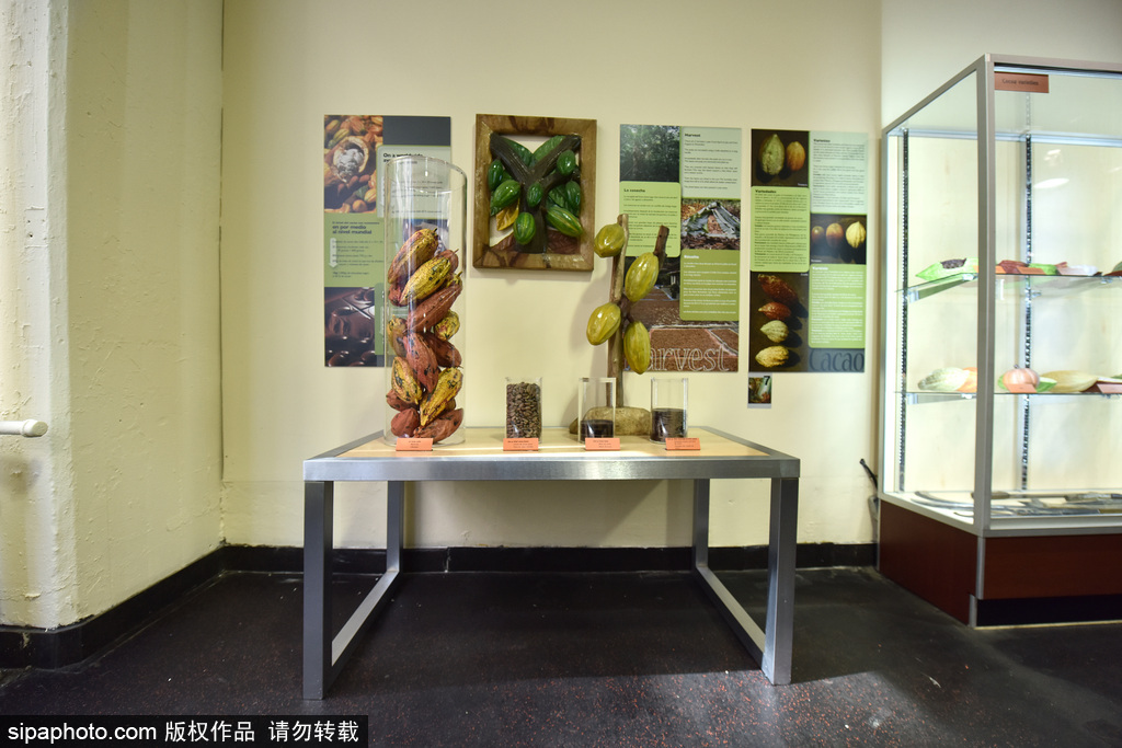 紐約首家巧克力博物館開(kāi)放 親手制作感受巧克力香濃