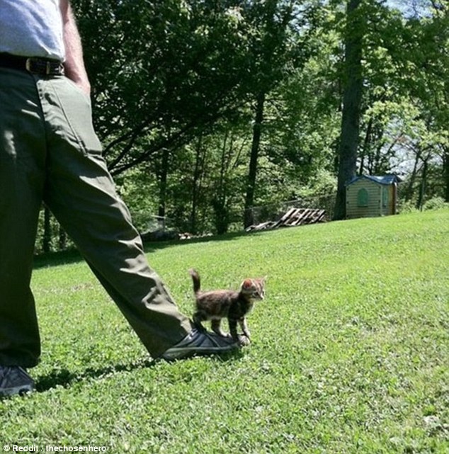 看看寵物們的第一次 一定讓你捧腹大笑[組圖]