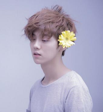 鹿晗胡歌趙麗穎 娛樂(lè)圈最具觀眾緣的明星都有誰(shuí)