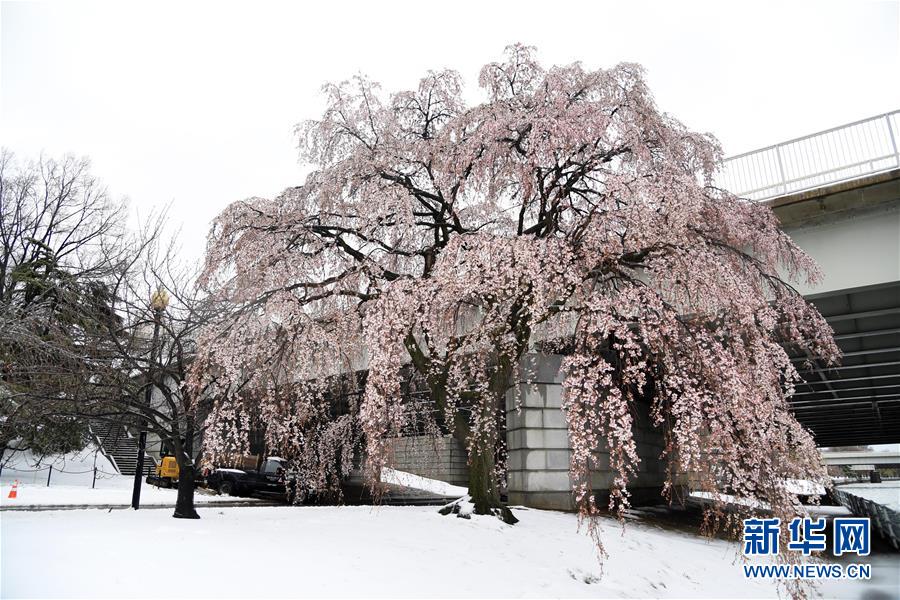 美國東北部遭遇暴風雪 數千航班取消（組圖）