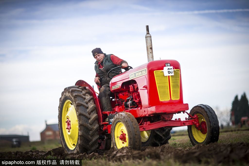 英國(guó)人民趣事多 盤點(diǎn)英國(guó)腦洞大開(kāi)的奇葩大賽