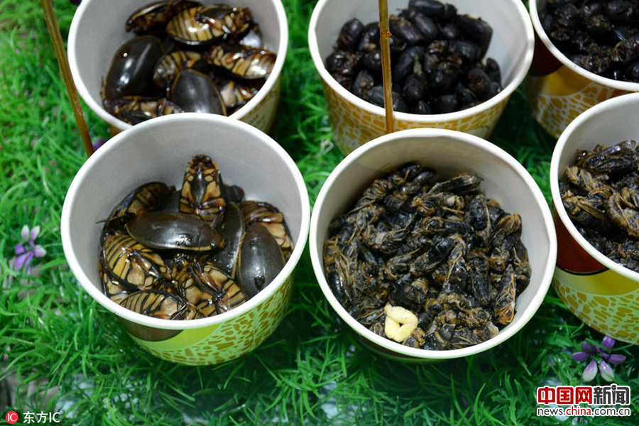 沈陽街頭現重口味“昆蟲宴”(組圖)