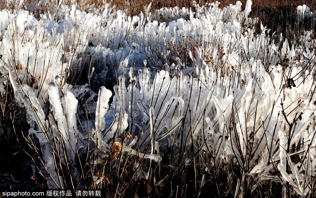 這個冬季太漫長？ 盤點霧凇冰掛美景讓你忘記季節時間