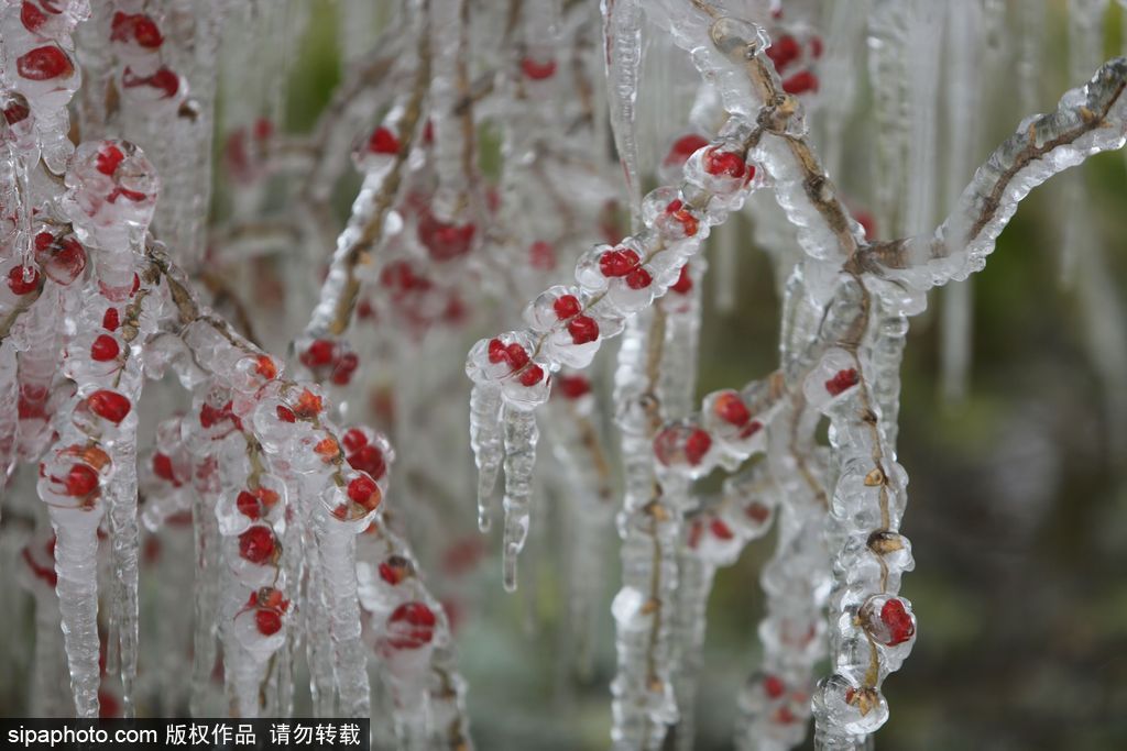 這個冬季太漫長？ 盤點霧凇冰掛美景讓你忘記季節時間
