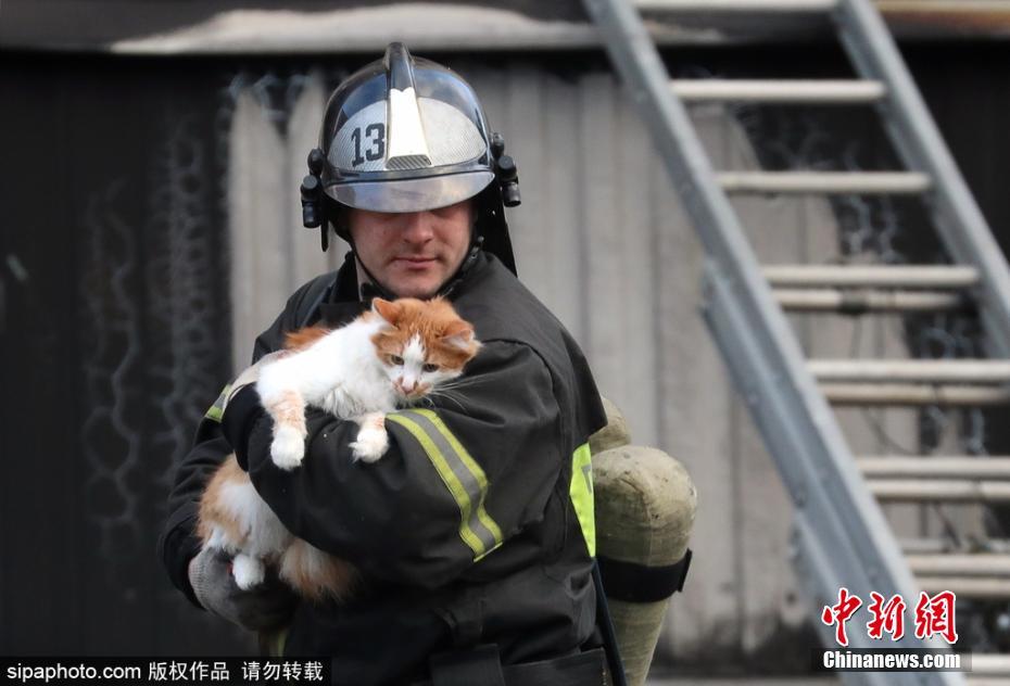 有愛(ài)！公寓樓天然氣爆炸 消防員救出被困小貓