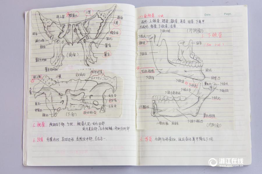 厲害了妹子！杭州大二女生解剖學筆記驚艷走紅