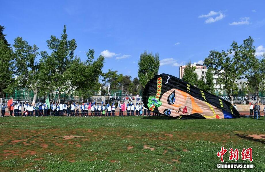 各類(lèi)風(fēng)箏昆明藍(lán)天下“斗艷”