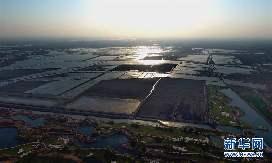 中共中央、國務院決定設立河北雄安新區