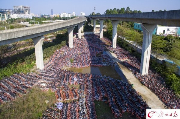 航拍廣州共享單車中轉站　密密麻麻如彈簧