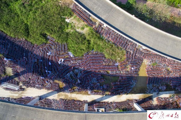 航拍廣州共享單車中轉站　密密麻麻如彈簧