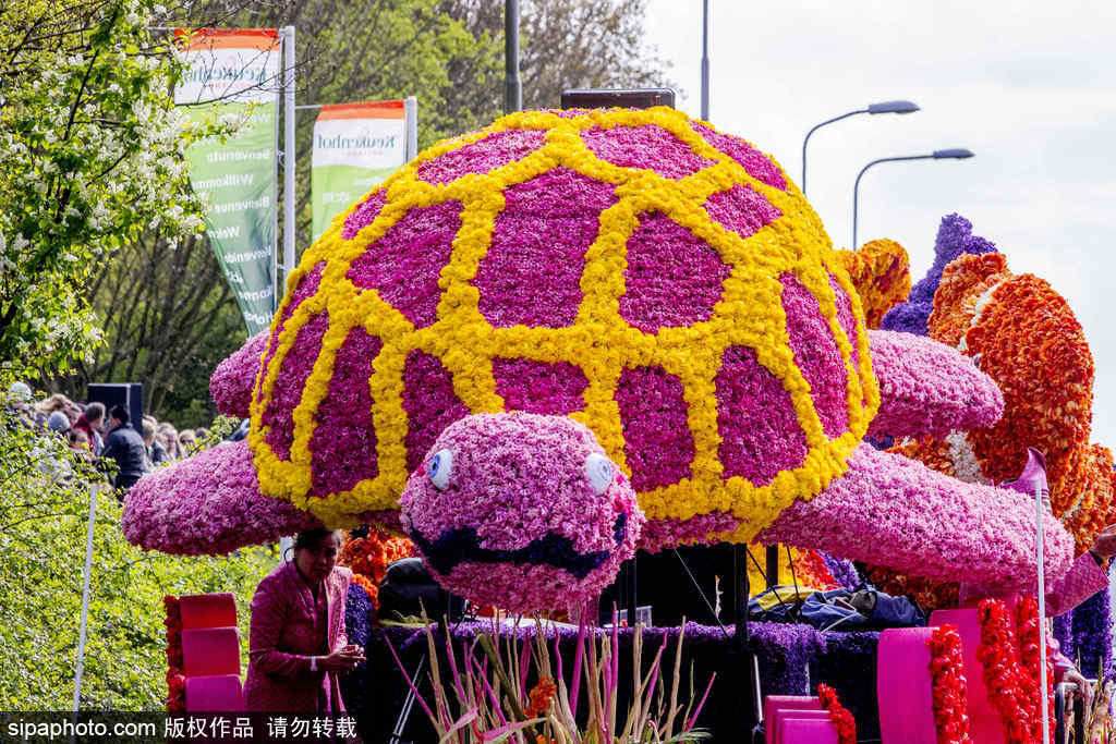荷蘭小鎮(zhèn)利瑟迎來花車游行活動 鮮艷亮麗十分奪目