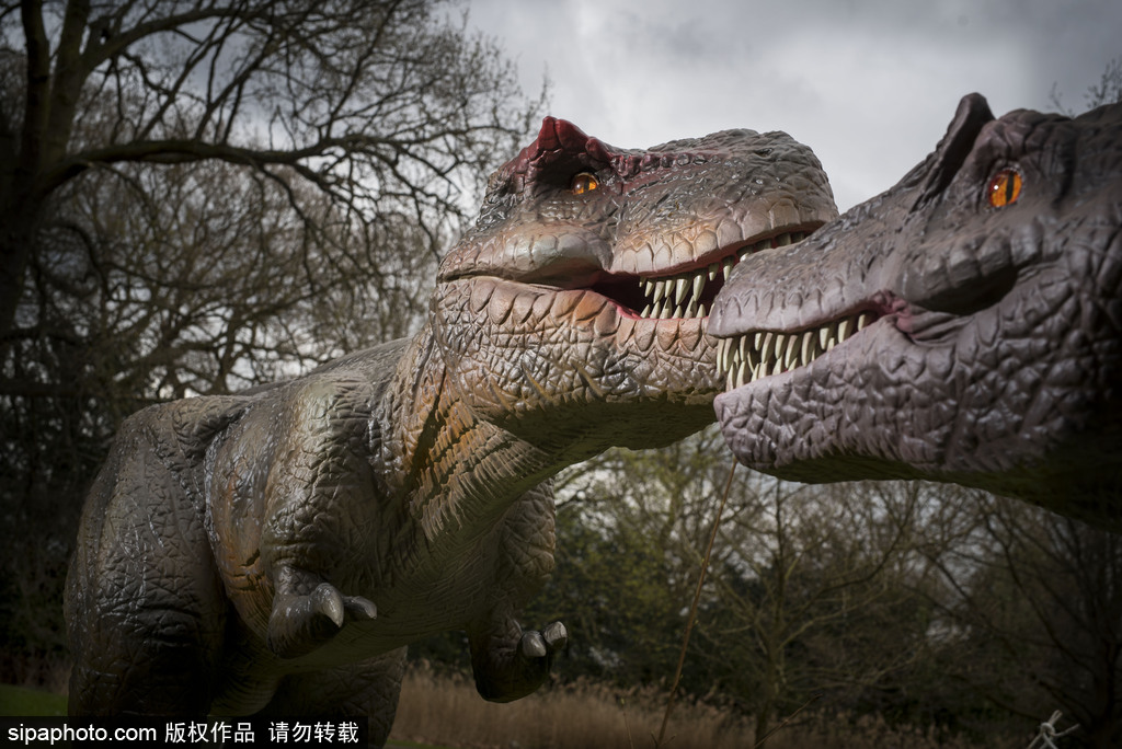 再現(xiàn)侏羅紀(jì)王國(guó) 倫敦奧斯特利公園舉辦互動(dòng)恐龍模型展