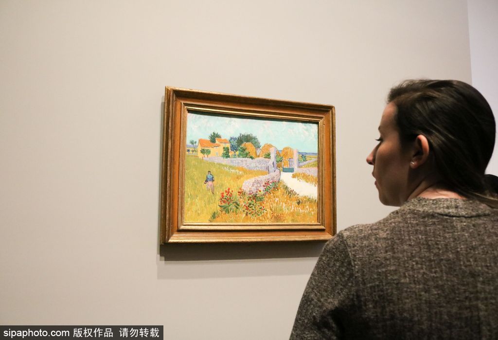 全球獨家！世界上首個梵高個人作品展在墨爾本舉辦