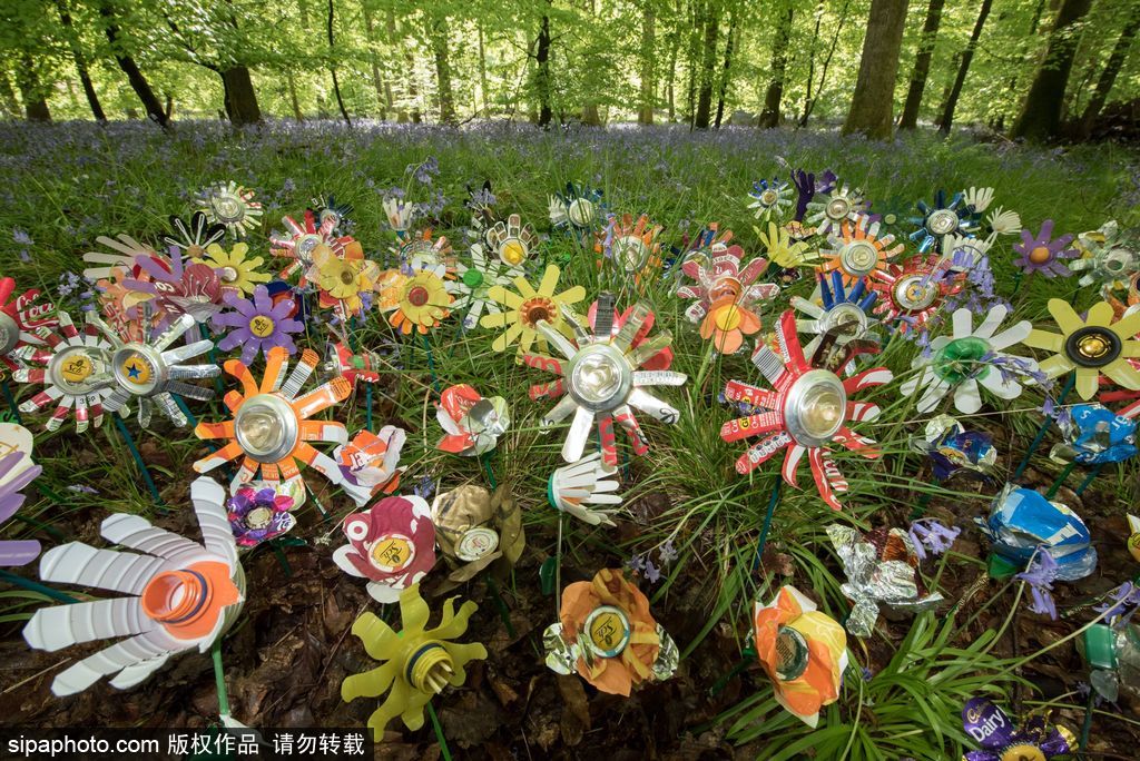 垃圾也是美麗的存在 英國迪恩森林“廢品”花叢