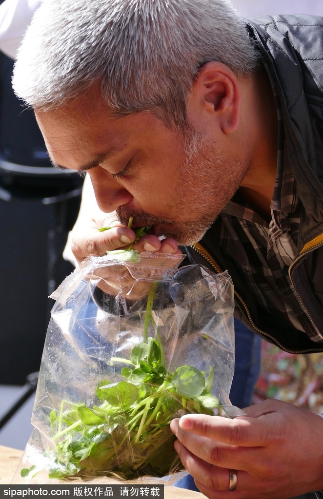 舌尖上的美食？英國吃豆瓣菜大賽眾選手大快朵頤瘋狂塞菜