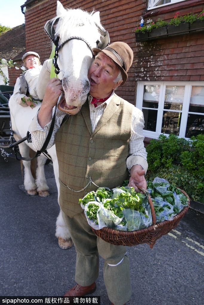 英國豆瓣菜節來襲 小鎮變綠色蔬菜世界