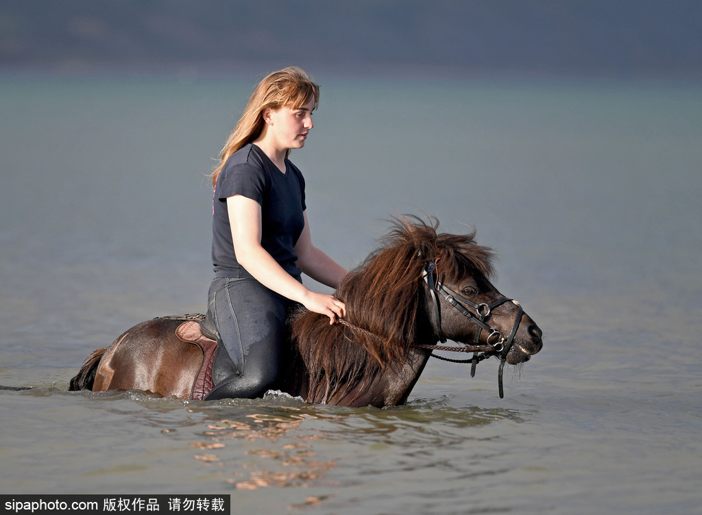 英國多塞特高溫來襲 女孩騎馬下河降溫