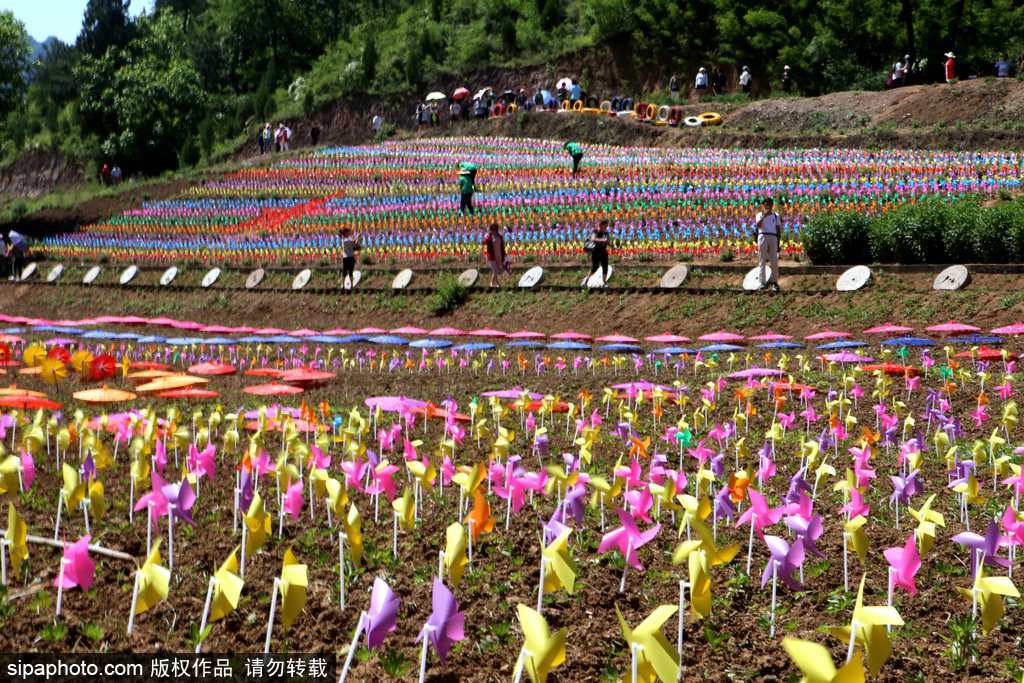 河南：數(shù)萬風(fēng)車裝扮七彩大地場面壯觀震撼