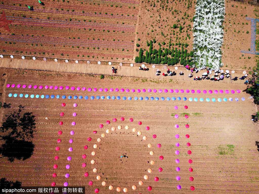 河南：數(shù)萬風(fēng)車裝扮七彩大地場面壯觀震撼