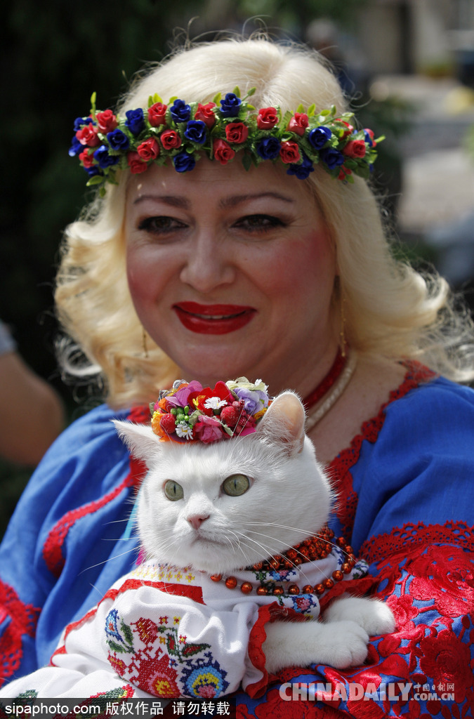 烏克蘭基輔傳統(tǒng)服飾大游行 喵星人身著繡花套衫美美噠