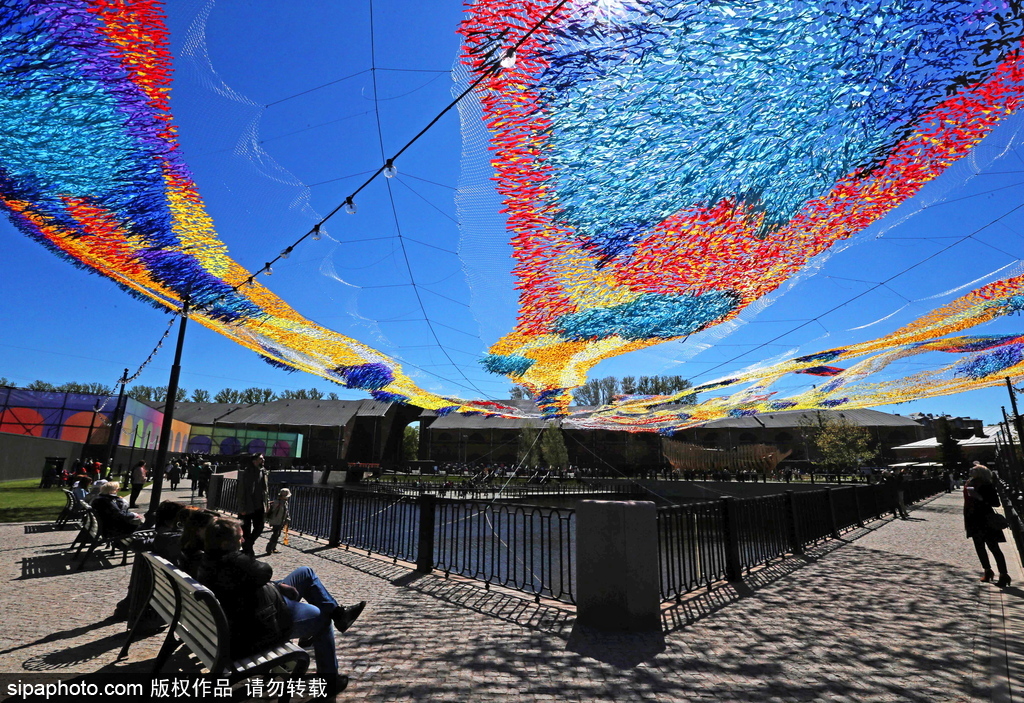 如墜凡間 俄羅斯藝術家創(chuàng)作“火鳥”降落傘織物藝術品