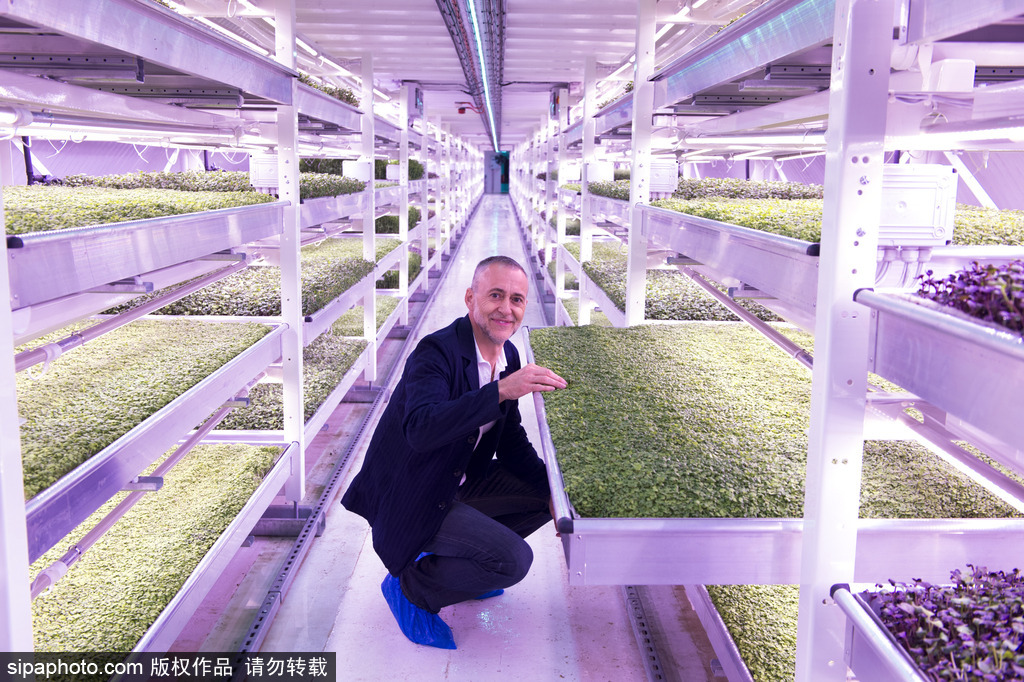 完美變身 盤點(diǎn)新奇十足的廢棄物大改造