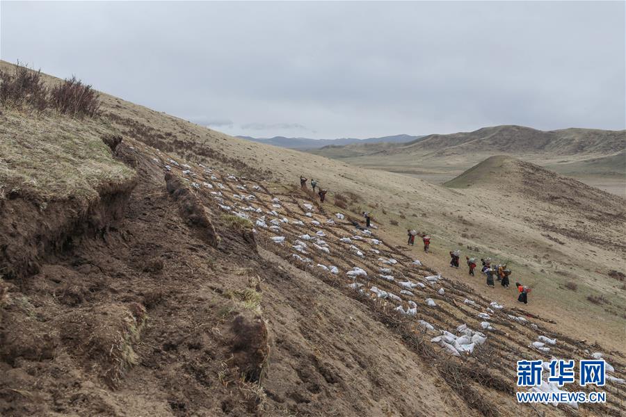 川西高原斗沙記