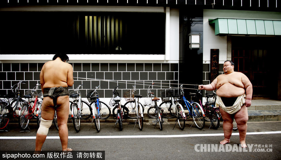 日本東京相撲運(yùn)動(dòng)員眾生相