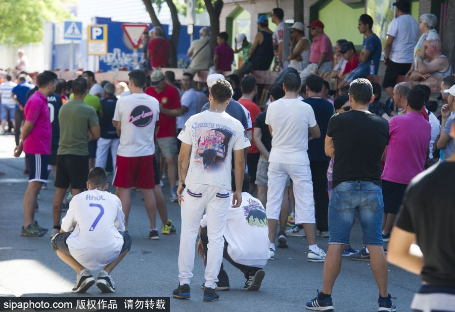 西班牙托雷洪市舉行奔牛節活動 眾壯漢遭公牛追逐落荒而逃