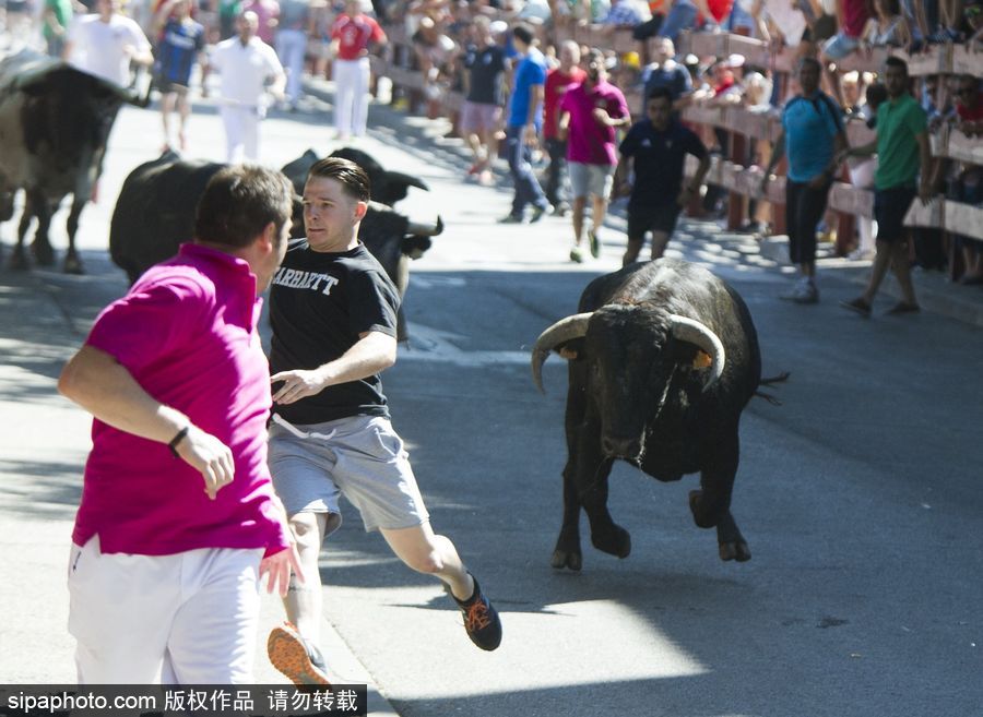 西班牙托雷洪市舉行奔牛節(jié)活動(dòng) 眾壯漢遭公牛追逐落荒而逃