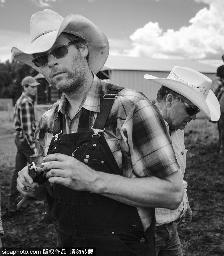 走進牛仔之鄉加拿大亞伯達 喚醒你心底沉睡的野馬