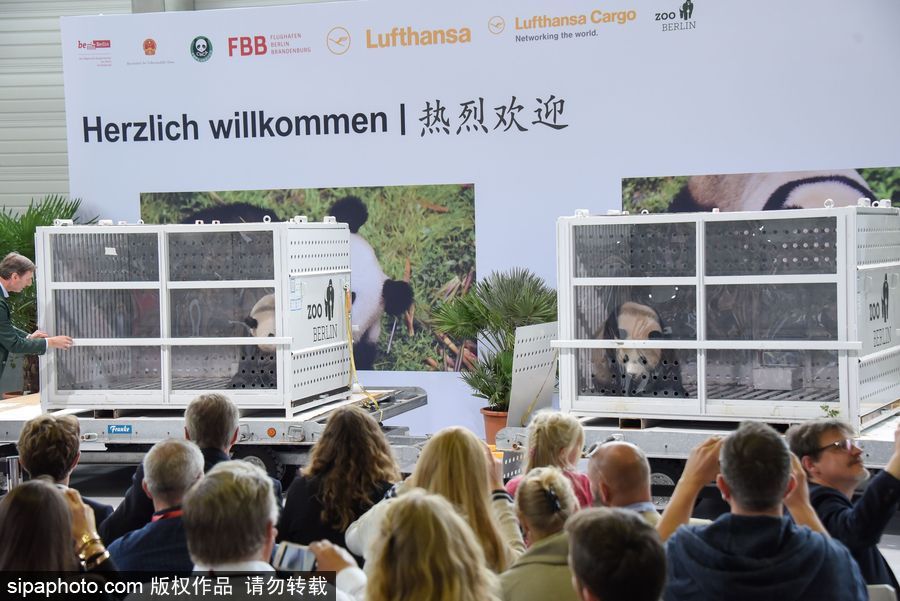 中國大熊貓“夢夢”“嬌慶”抵達德國柏林 時隔五年德民眾再迎大熊貓