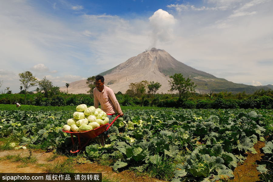 心態好！錫納朋火山熔巖量持續增加 居民淡然生活