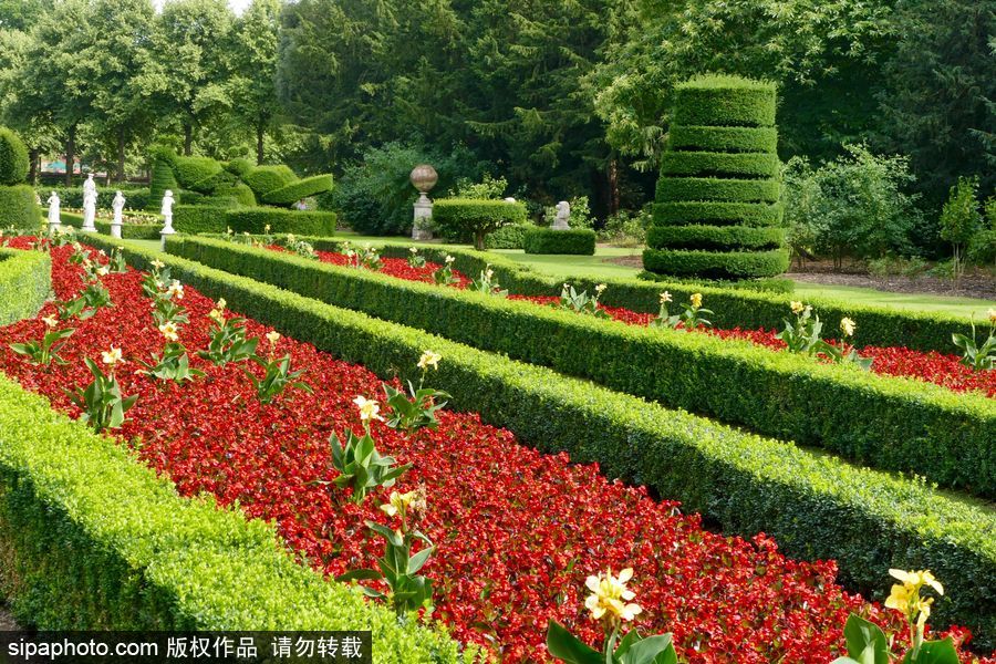 永不凋謝的鮮花 英國克萊夫登莊園內現蠟質秋海棠
