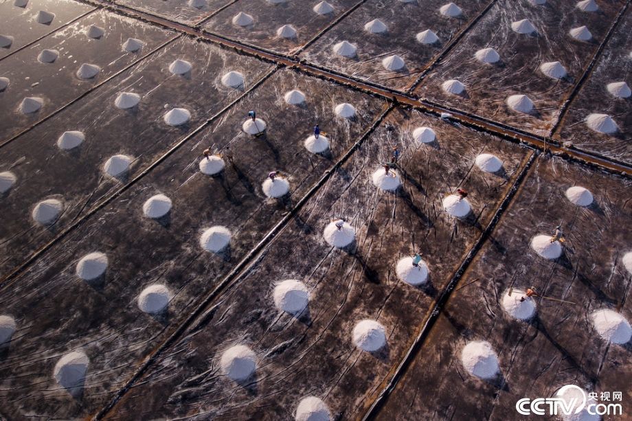 越南百里“銀灘”烈日下曬鹽畫面唯美