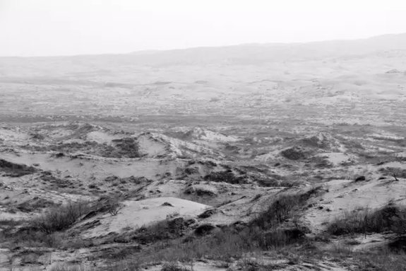 英國小哥到河北塞罕壩避暑，竟意外收獲了一個美麗的故事丨好運中國