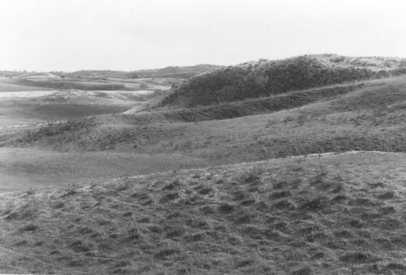 英國小哥到河北塞罕壩避暑，竟意外收獲了一個美麗的故事丨好運中國