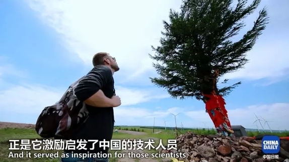 英國小哥到河北塞罕壩避暑，竟意外收獲了一個美麗的故事丨好運中國