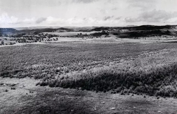 英國小哥到河北塞罕壩避暑，竟意外收獲了一個美麗的故事丨好運中國