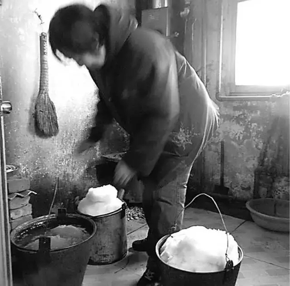 英國小哥到河北塞罕壩避暑，竟意外收獲了一個美麗的故事丨好運中國