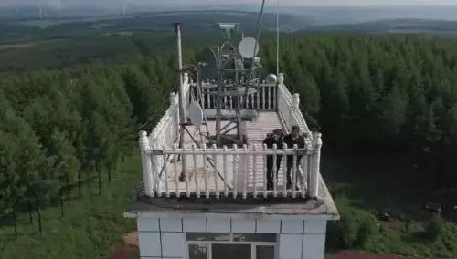 英國小哥到河北塞罕壩避暑，竟意外收獲了一個美麗的故事丨好運中國