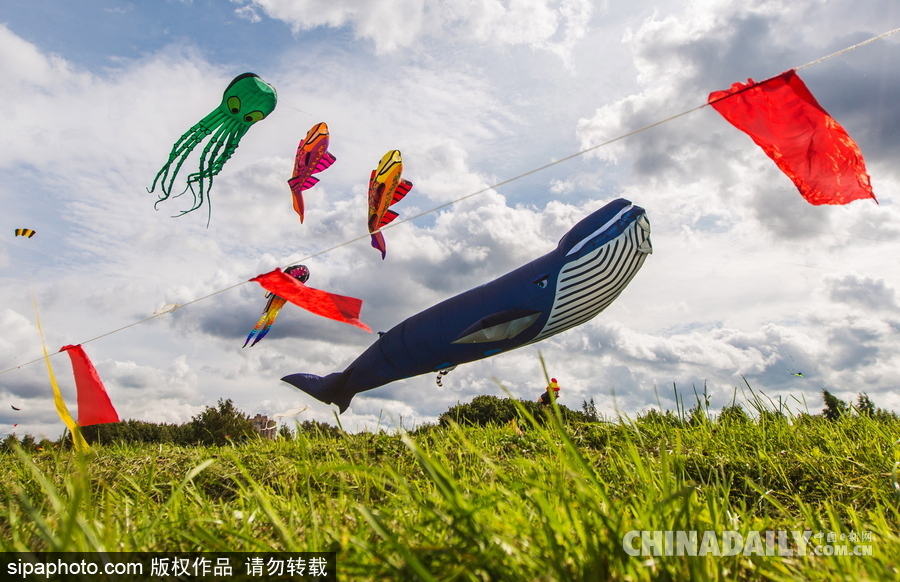 俄羅斯莫斯科舉行風箏節(jié) 色彩繽紛歡樂十足