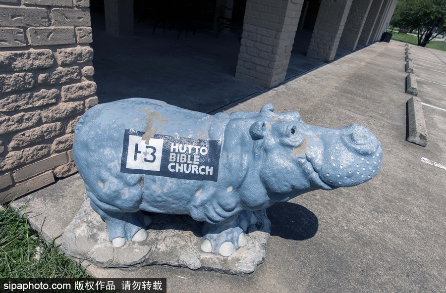 “河馬小鎮”美國胡托 街頭遍布河馬雕塑